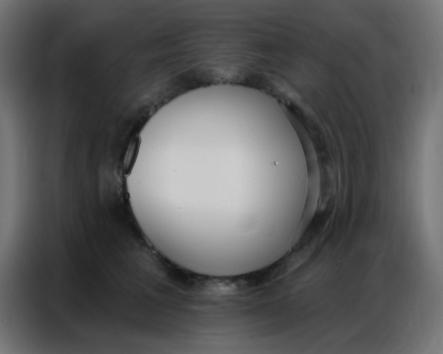 X0000086800613200705041609