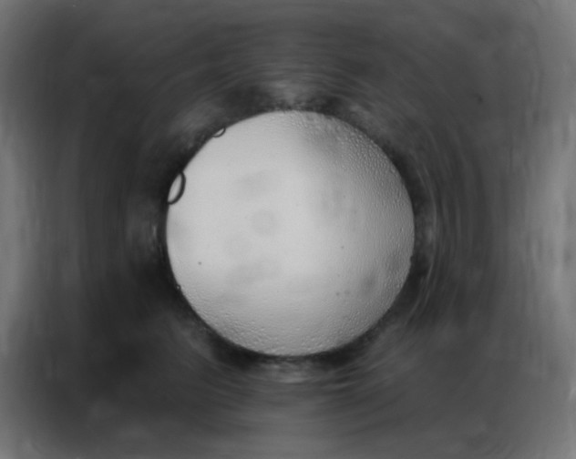 X0000086800615200705041609