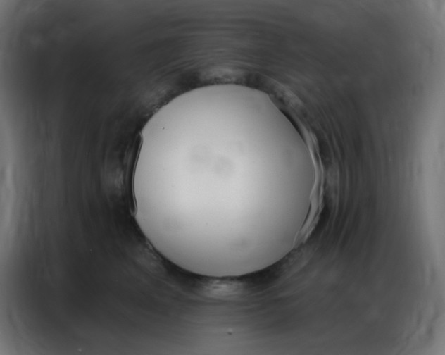 X0000086800617200705041609