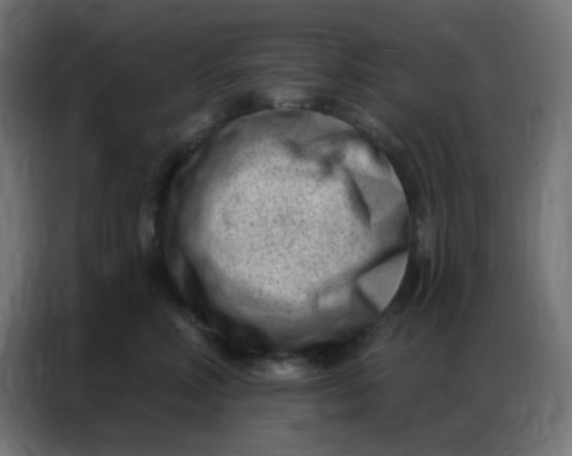 X0000086800618200705041609