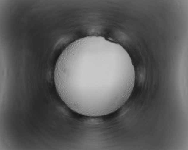 X0000086800619200705041609