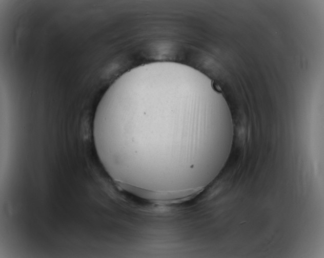 X0000086800620200705041609