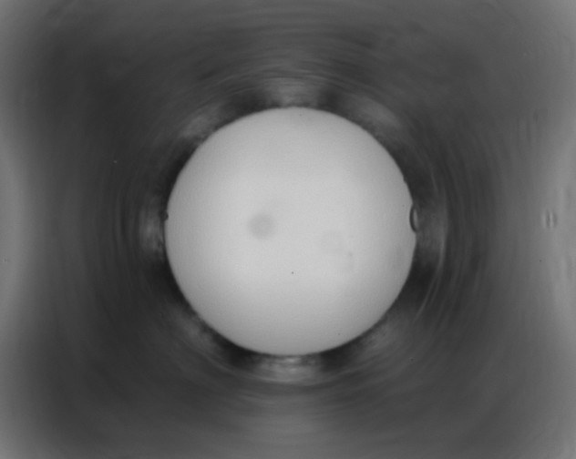 X0000086800622200705041609