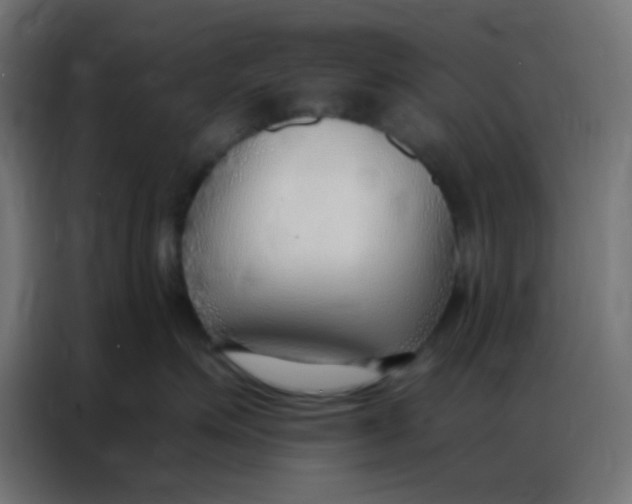 X0000086800623200705041609