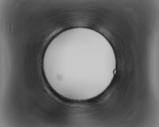 X0000086800625200705041609