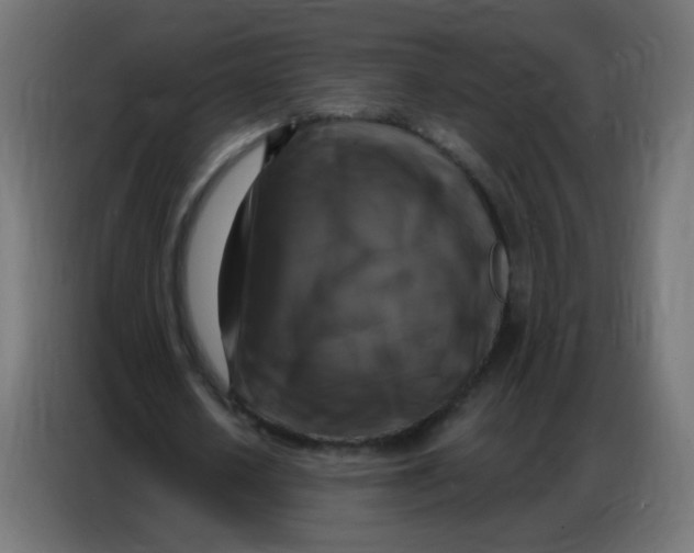 X0000086800626200705041609