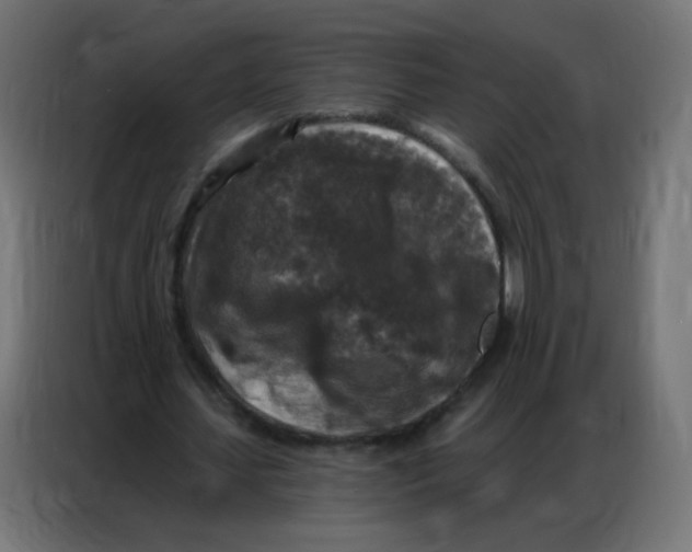 X0000086800627200705041609