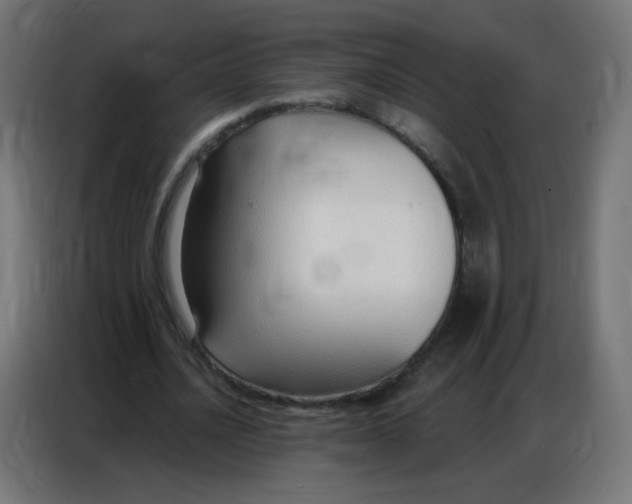 X0000086800628200705041609