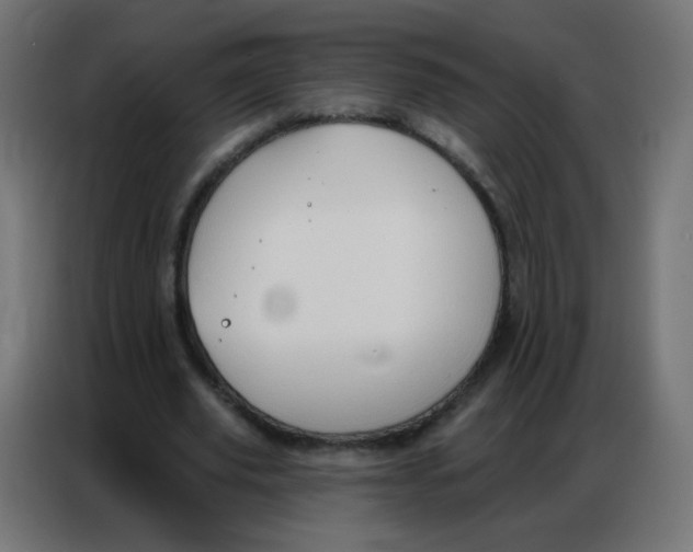 X0000086800629200705041609