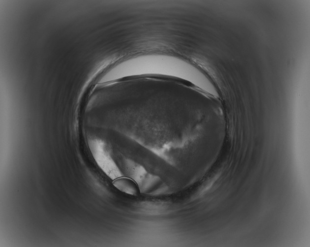 X0000086800630200705041609