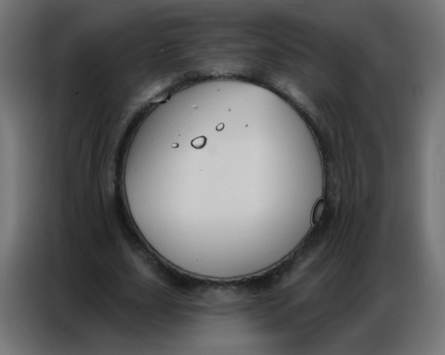 X0000086800631200705041609