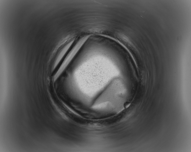 X0000086800634200705041609