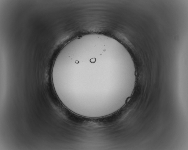 X0000086800635200705041609