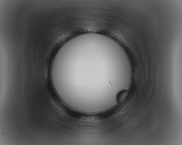 X0000086800639200705041609