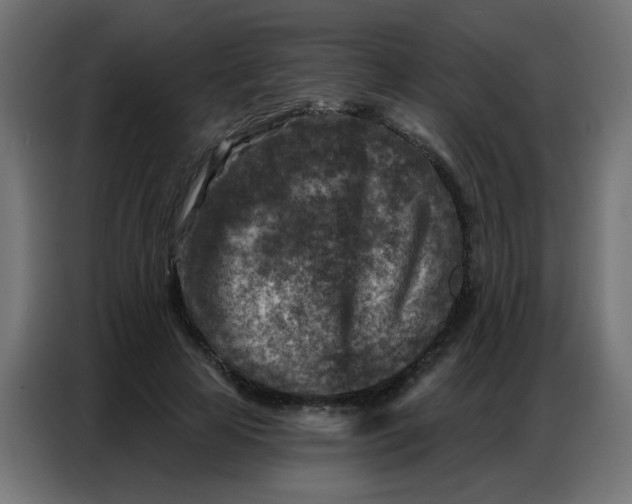 X0000086800641200705041609