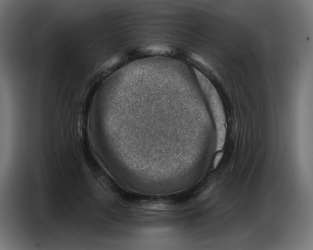 X0000086800643200705041609