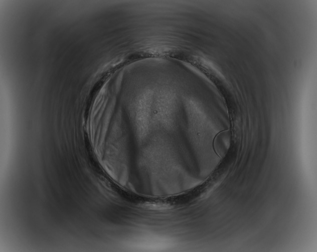 X0000086800644200705041609