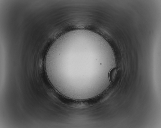 X0000086800646200705041609