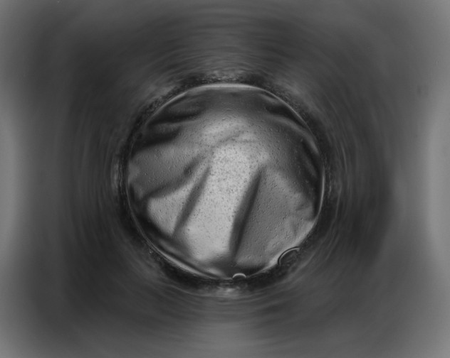 X0000086800647200705041609