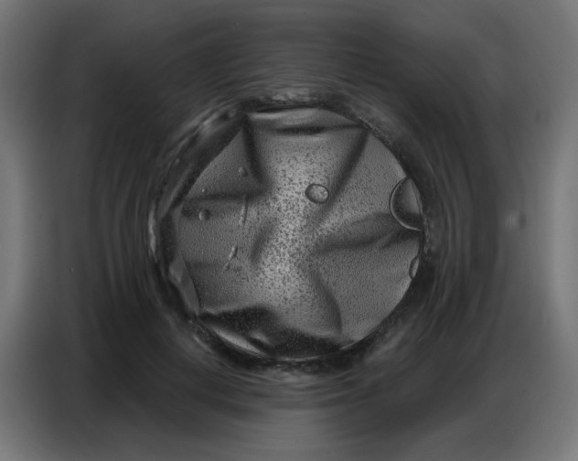 X0000086800648200705041609