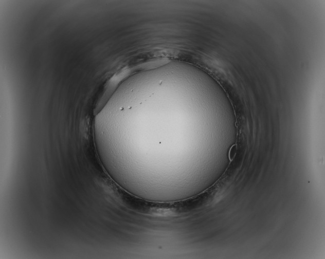 X0000086800649200705041609