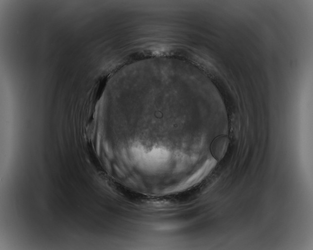 X0000086800650200705041609