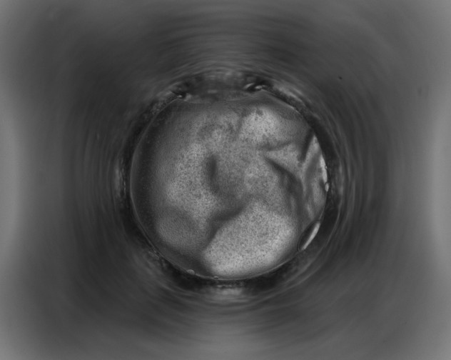 X0000086800651200705041609