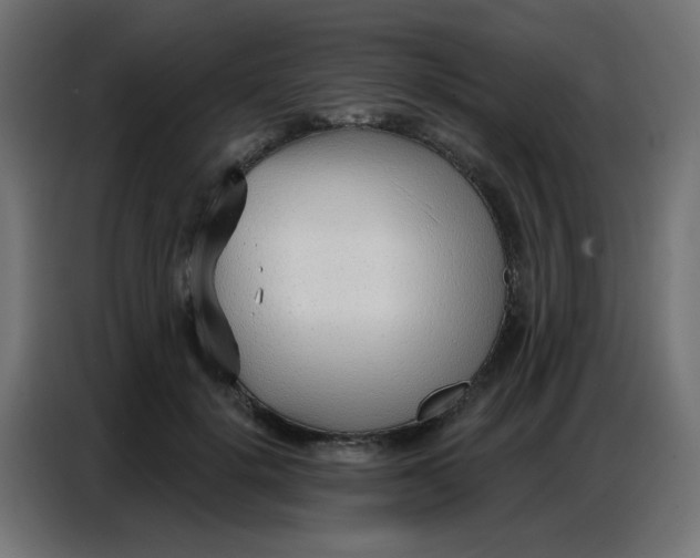 X0000086800652200705041609