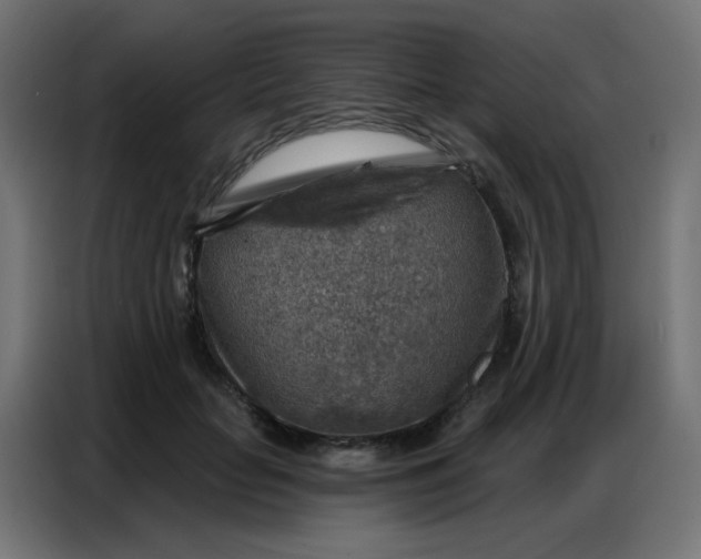 X0000086800653200705041609