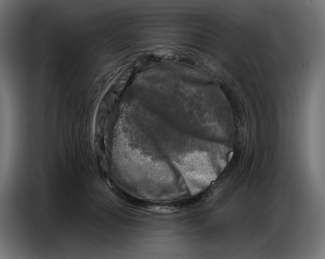 X0000086800654200705041609