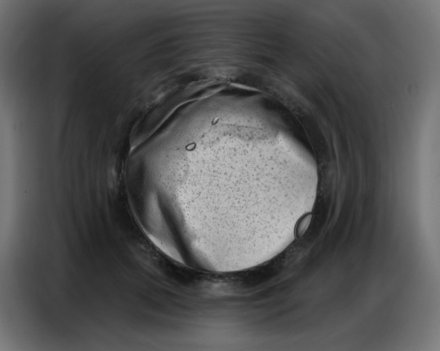 X0000086800655200705041609