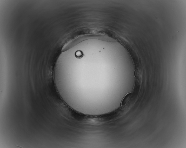 X0000086800657200705041609