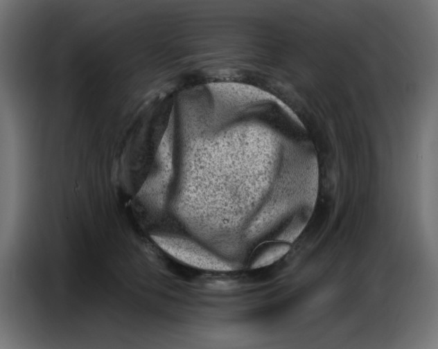 X0000086800658200705041609