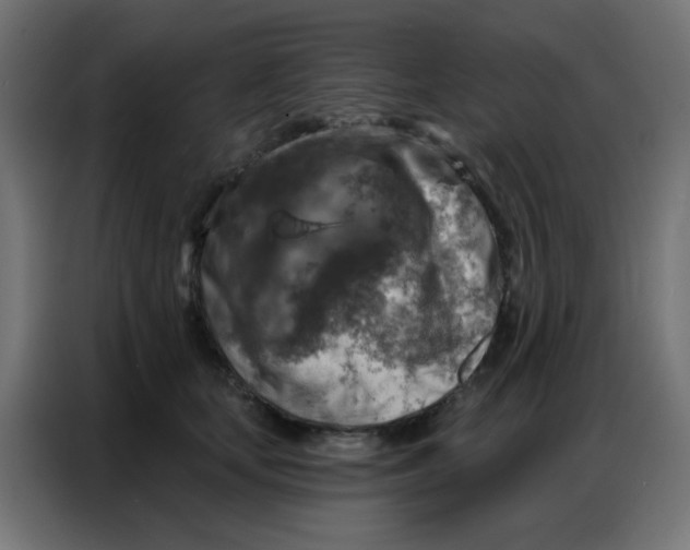 X0000086800659200705041609