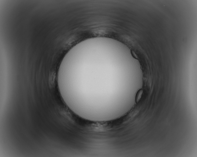 X0000086800660200705041609