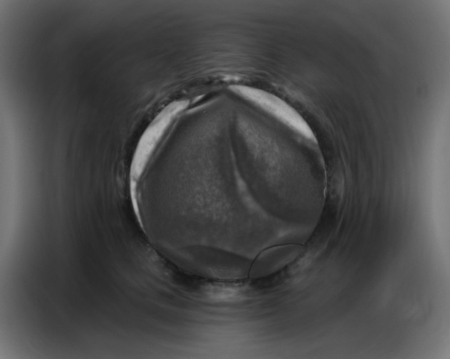 X0000086800661200705041609