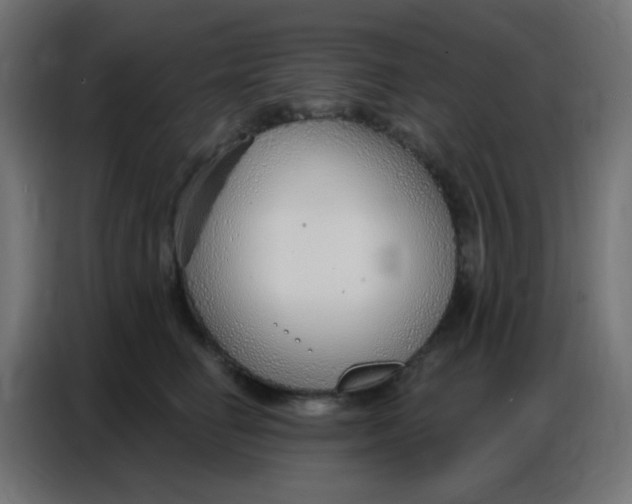 X0000086800662200705041609