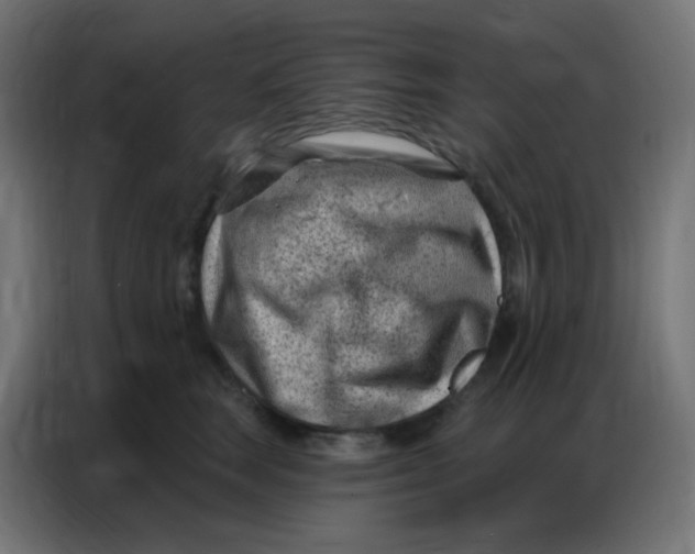 X0000086800663200705041609