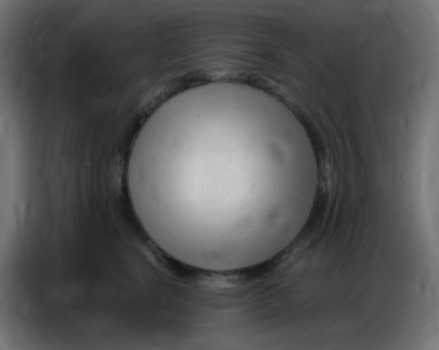 X0000086800664200705041609