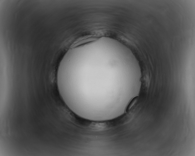 X0000086800665200705041609