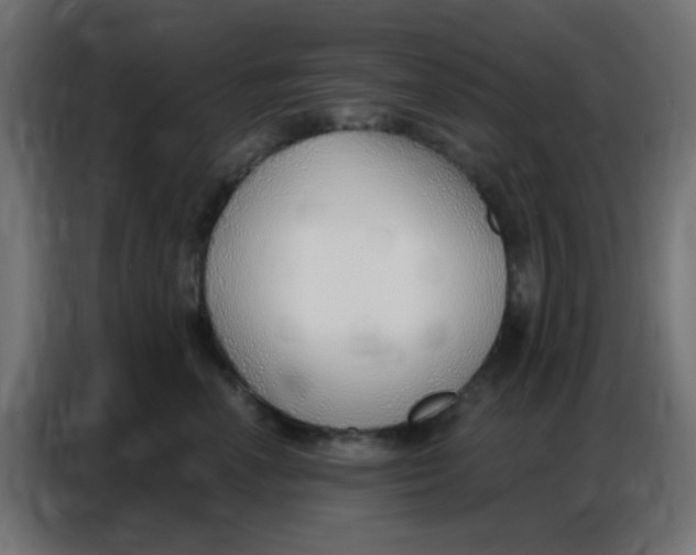 X0000086800666200705041609