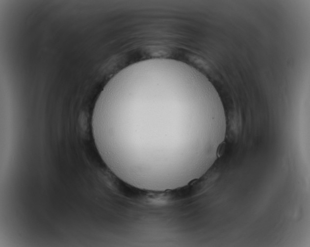 X0000086800667200705041609