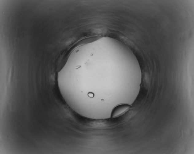 X0000086800668200705041609