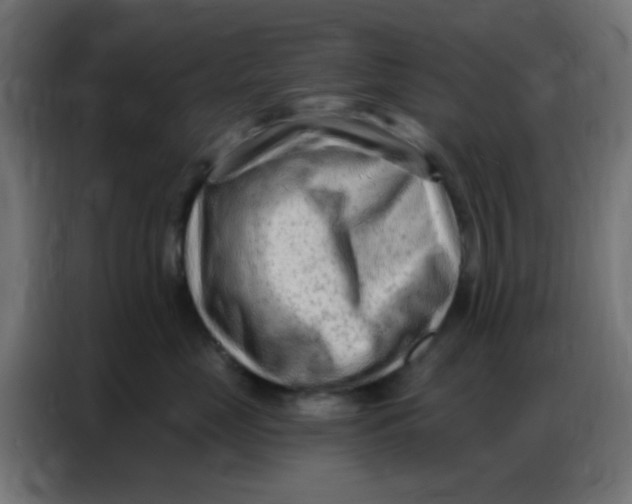 X0000086800669200705041609