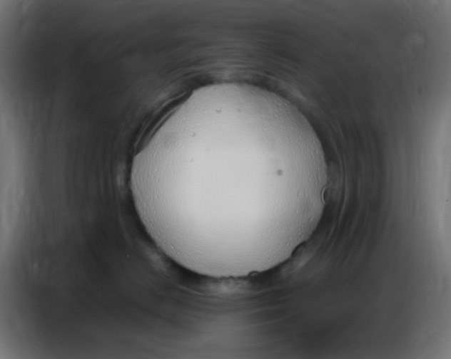 X0000086800670200705041609