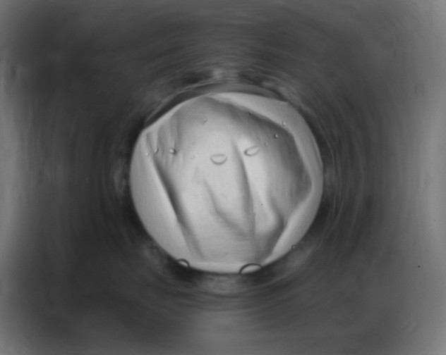 X0000086800671200705041609