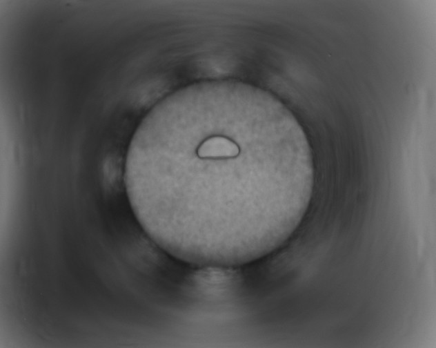 X0000086800672200705041609