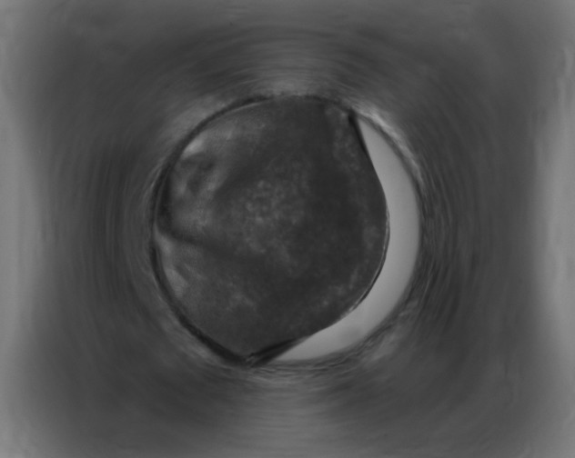 X0000086800673200705041609