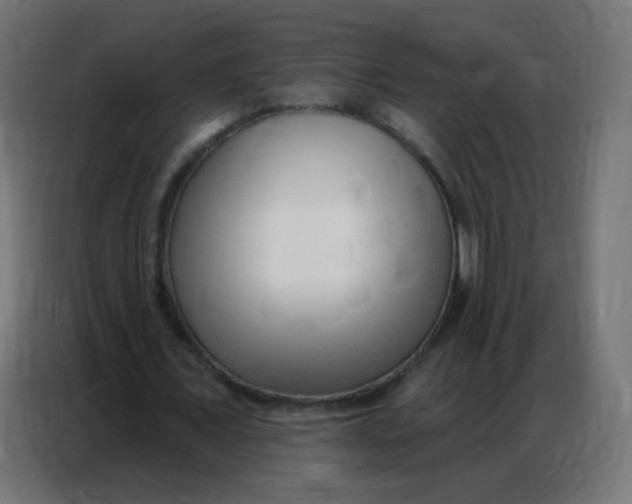 X0000086800675200705041609