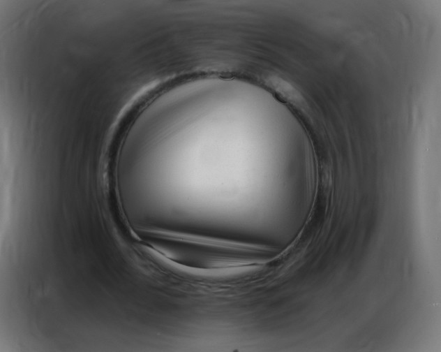 X0000086800676200705041609